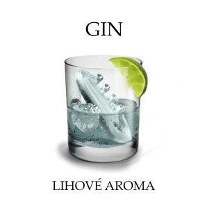 Aromka gin lihové aroma 100 ml s vůní jalovce